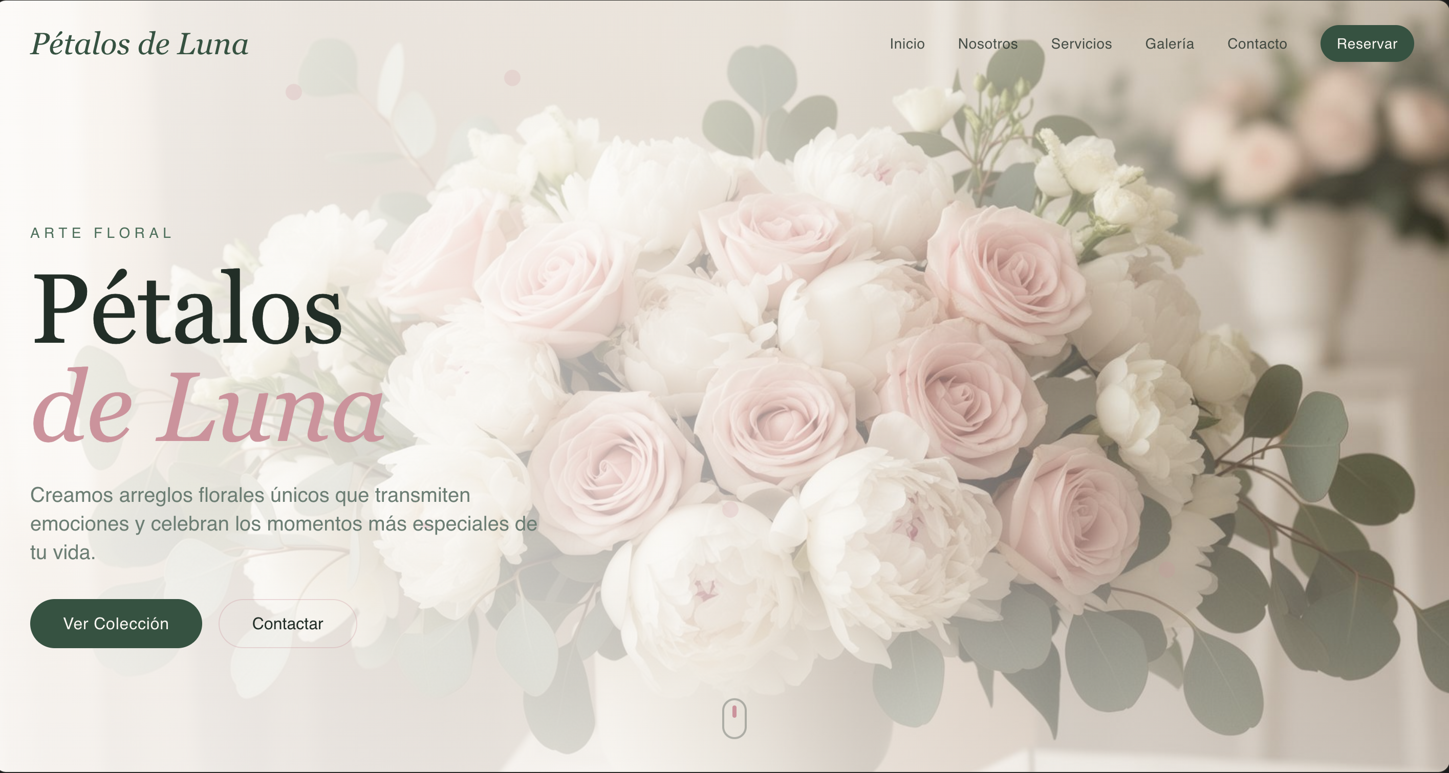 floristería petalos de luna